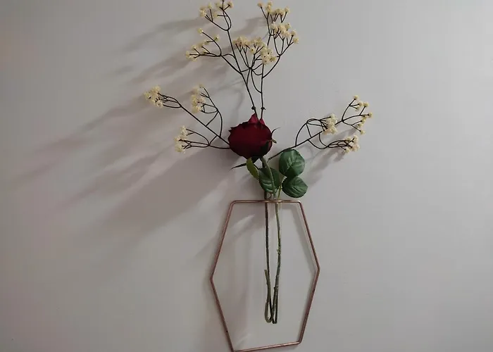 Appartement Barbana *